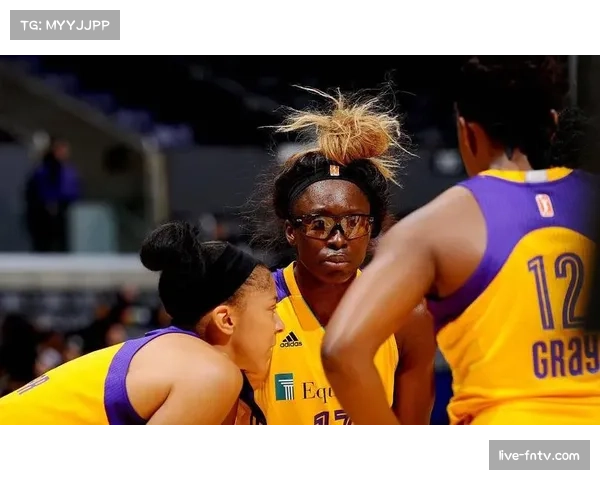 WNBA球队训练营观察：新援融入成为各队关注焦点
